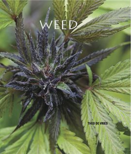 Cover image for Weed