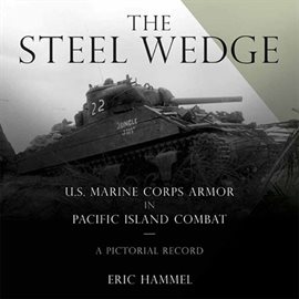 Cover image for The Steel Wedge