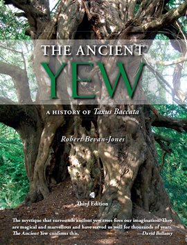 Cover image for The Ancient Yew