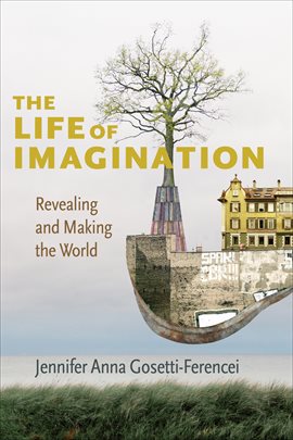 Cover image for The Life of Imagination