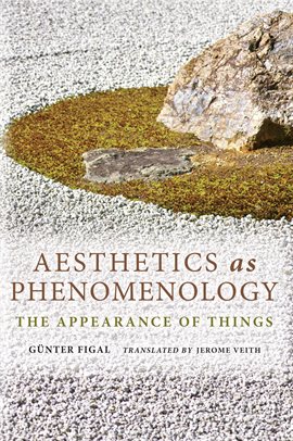 Aesthetics as Phenomenology Aesthetics as Phenomenology
