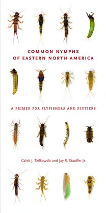 Cover image for Common Nymphs of Eastern North America