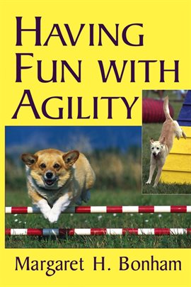Cover image for Having Fun With Agility