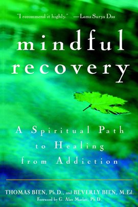 Cover image for Mindful Recovery