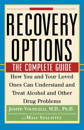 Imagen de portada para Recovery Options