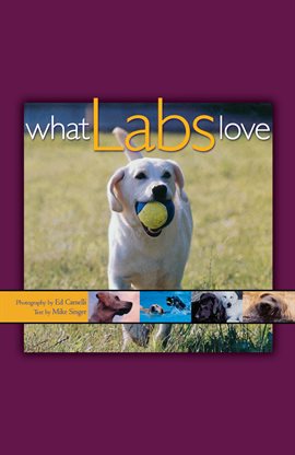 Cover image for What Labs Love