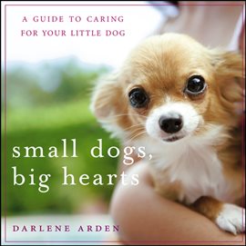 Cover image for Small Dogs, Big Hearts