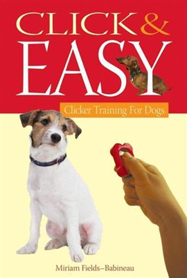 Cover image for Click & Easy