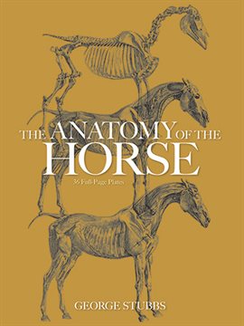 Imagen de portada para The Anatomy of the Horse