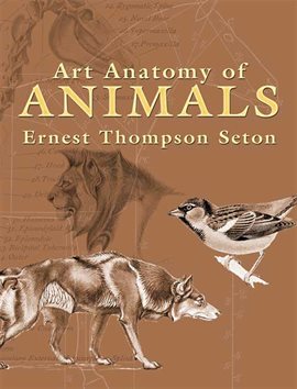 Cover image for Art Anatomy of Animals