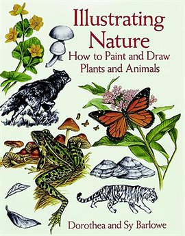 Cover image for Illustrating Nature