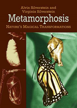 Cover image for Metamorphosis