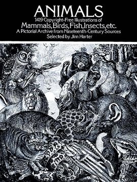Imagen de portada para Animals