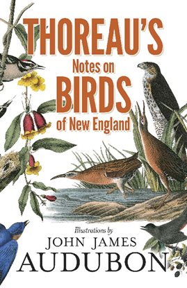 Cover image for Thoreau's Notes on Birds of New England