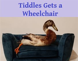Imagen de portada para Tiddles Gets a Wheelchair