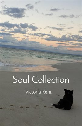 Cover image for Soul Collection