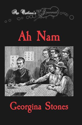 Cover image for An Outlaw's Journal