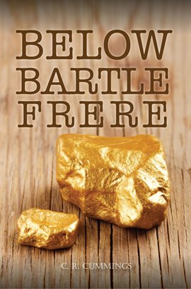 Cover image for Below Bartle Frere