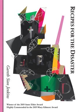 Cover image for Recipes for the Disaster