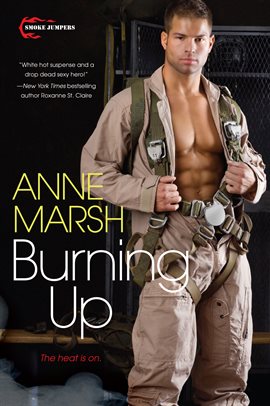 Cover image for Burning Up