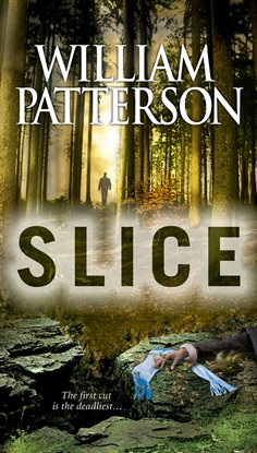 Imagen de portada para Slice