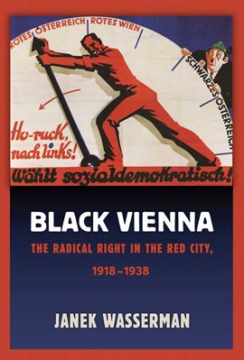 Cover image for Black Vienna