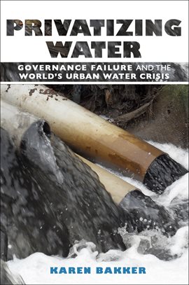 Cover image for Privatizing Water