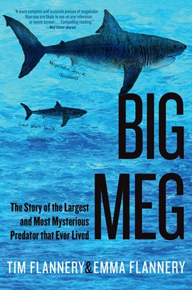 Imagen de portada para Big Meg