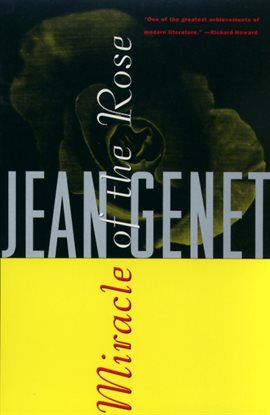 Cover image for Miracle of the Rose
