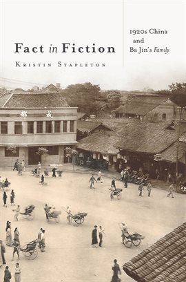 Cover image for Fact in Fiction