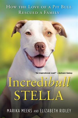 Cover image for Incredibull Stella