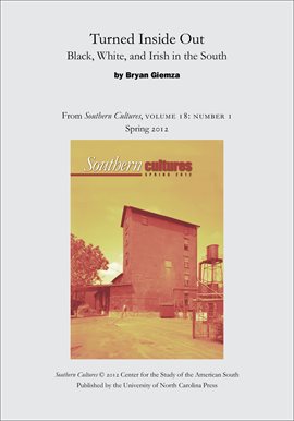 Cover image for Turned Inside Out: Black, White, and Irish in the South