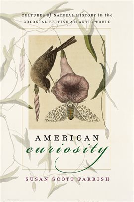 Cover image for American Curiosity