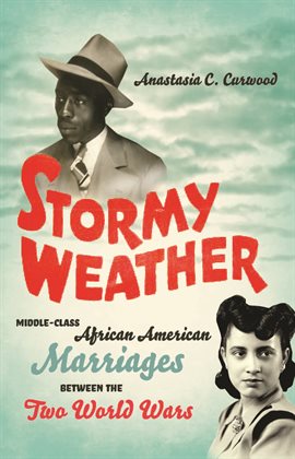 Cover image for Stormy Weather