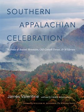 Cover image for Southern Appalachian Celebration