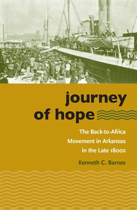 Cover image for Journey of Hope