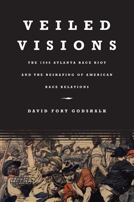 Cover image for Veiled Visions