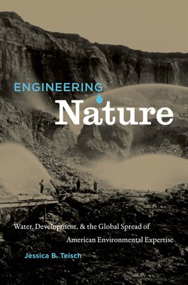 Cover image for Engineering Nature
