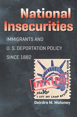 Imagen de portada para National Insecurities