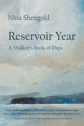 Imagen de portada para Reservoir Year