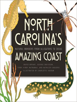 Cover image for North Carolina's Amazing Coast