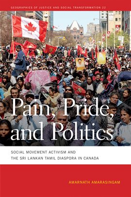 Pain, Pride, and Politics cover