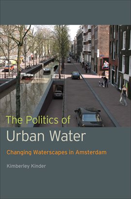 Cover image for The Politics of Urban Water
