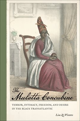 Cover image for The Mulatta Concubine