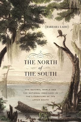 Cover image for The North of the South