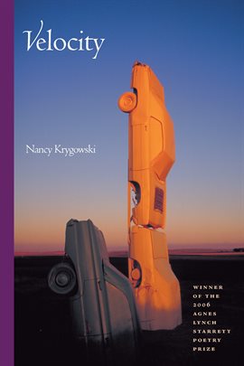 Cover image for Velocity