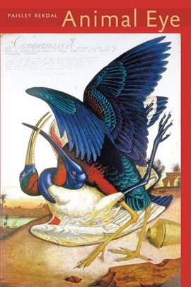 Cover image for Animal Eye