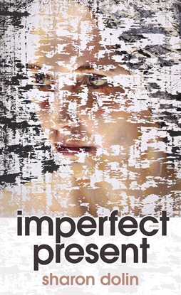 Cover image for Imperfect Present