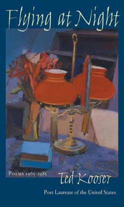 Cover image for Flying At Night