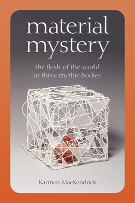 Cover image for Material Mystery